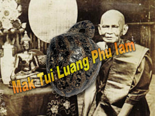 https://www.oldamulets.com/wp-content/uploads/Sacred-Mak-Tui-Amulet-Luang-Phu-Iam-Wat-Hnang-640x480.jpg
